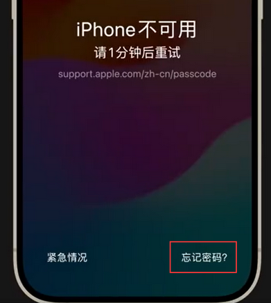 开化苹果手机密码维修分享iPhone忘记了刚设置的密码 